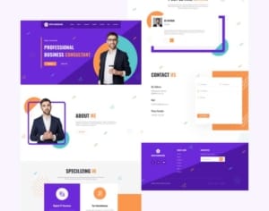 Professional Web Development Solutions 5 53cf029d business consuntant Professional Web Development Solutions