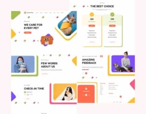 Professional Web Development Solutions 2 b788ad14 pet service Professional Web Development Solutions